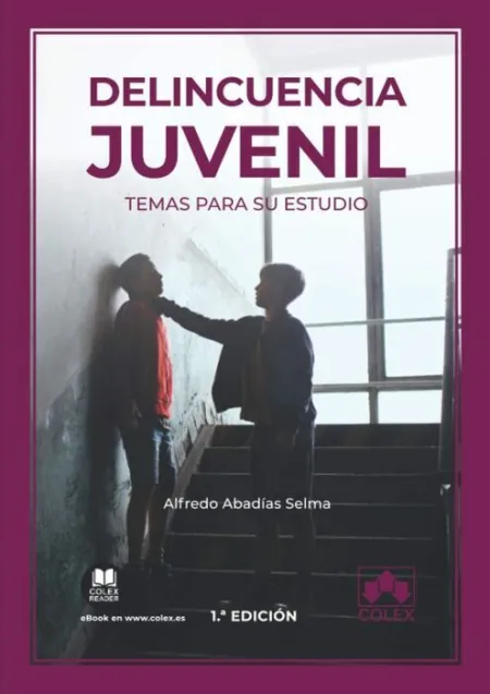 Delincuencia Juvenil: Temas para Su Estudio