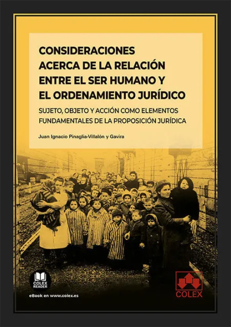 Consideraciones Acerca de la Relación entre el Ser Humano y el Ordenamiento Jurí