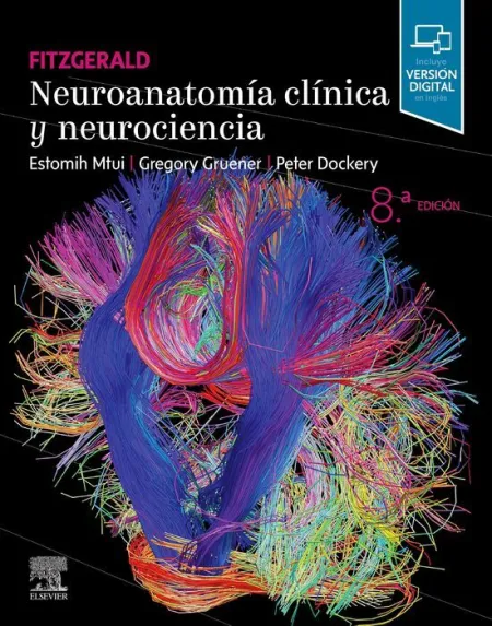 Neuroanatomía Clínica y Neurociencia