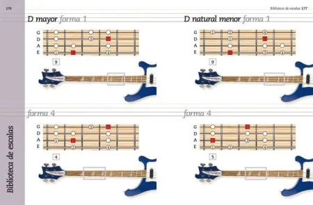 Aprende a Tocar el Bajo