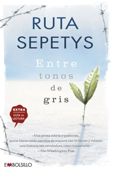 Entre Tonos de Gris