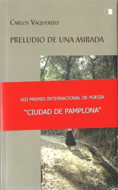 Preludio de una Mirada