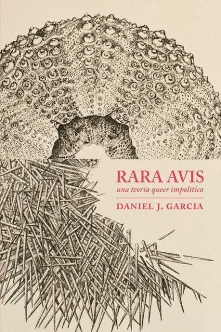 Rara Avis. Una Teoria Queer Impolitica