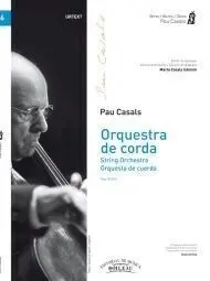 Orquestra de Corda