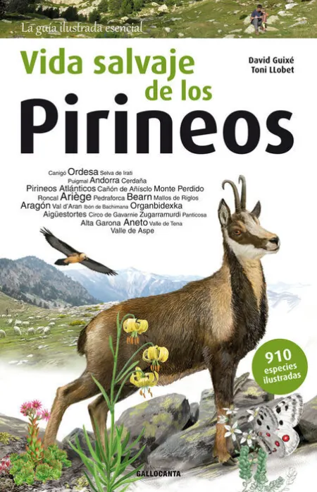 Vida Salvaje de los Pirineos