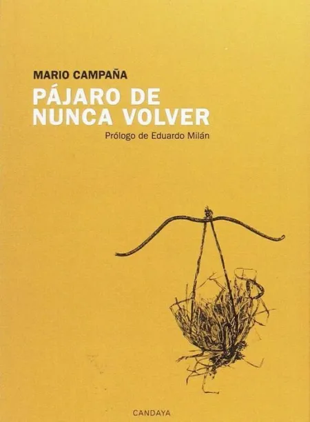 Pájaro de Nunca Volver