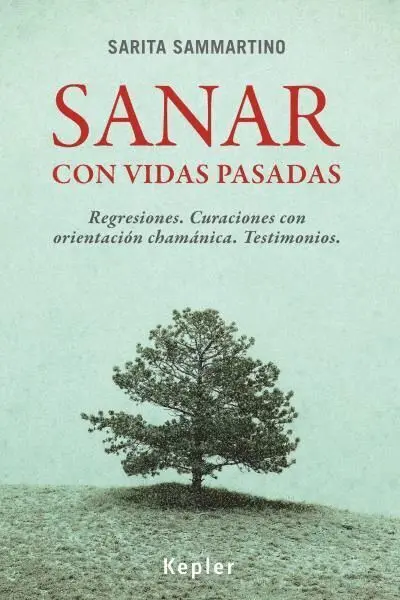 Sanar con Vidas Pasadas