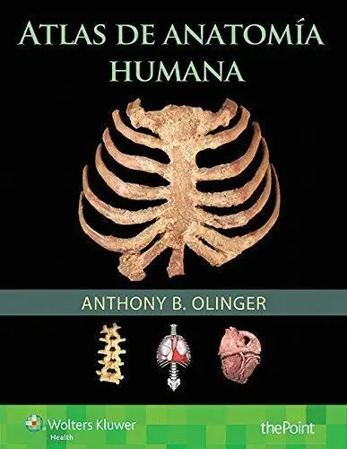 Atlas de Anatomía Humana