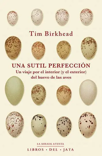 Una Sutil Perfección