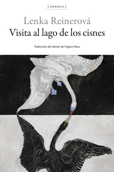 Visita Al Lago de los Cisnes