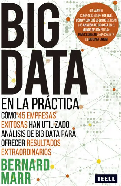 Big Data en la Práctica. Como 45 Empresas Exitosas Han Utilizado Analisis de Big Data para Ofrecer Resultados Extraordinarios