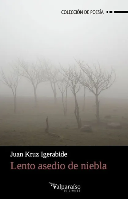 Lento Asedio de Niebla