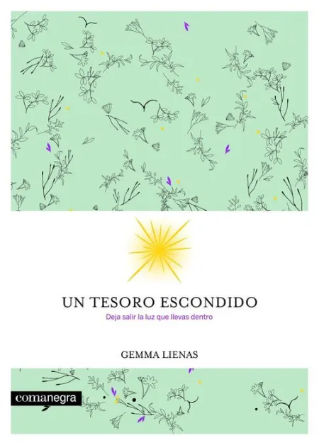Un Tesoro Escondido