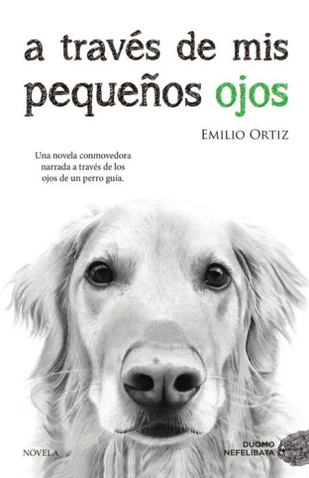 A Través de Mis Pequeños Ojos