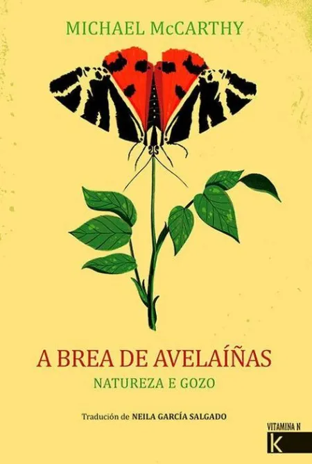 A Brea de Avelaã?Â­ã?Â±As