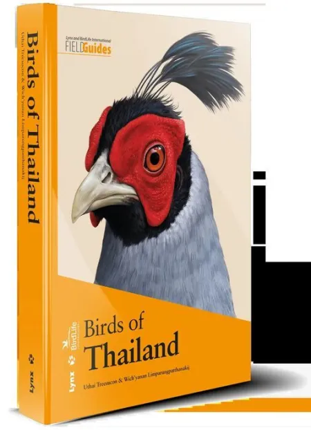 Birds Of Thailand