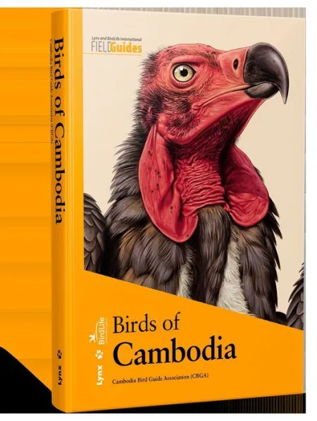 Birds Of Cambodia