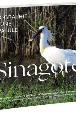 Sinagote, Biographie D'une Spatule