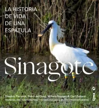Sinagote, la Historia de Vida de una Espátula