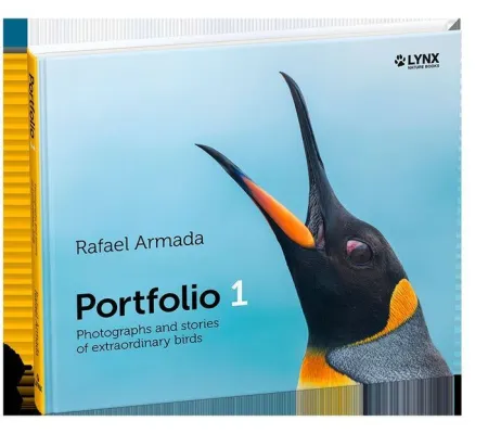 Portfolio 1