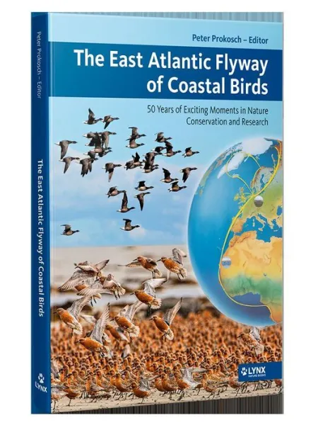 The East Atlantic Flyway Of Coastal Birds