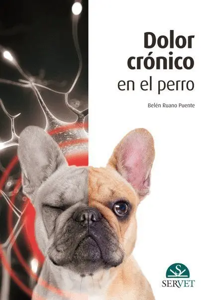 Dolor Crónico en el Perro