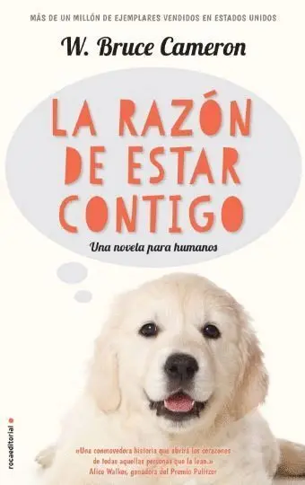 La Razón de Estar Contigo (A Dog's Purpose)
