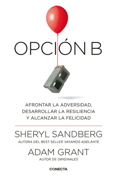 Opción B