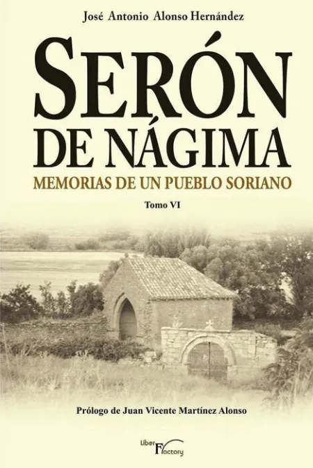 Serã?Â³N de Nã?Â¡Gima. Memorias de un Pueblo Soriano. Tomo Vi