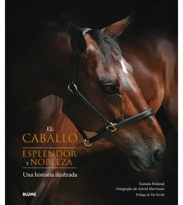 El Caballo. Esplendor y Nobleza