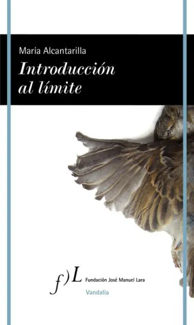 Introducción Al Límite