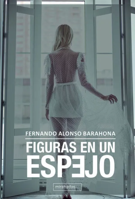 Figuras en un Espejo