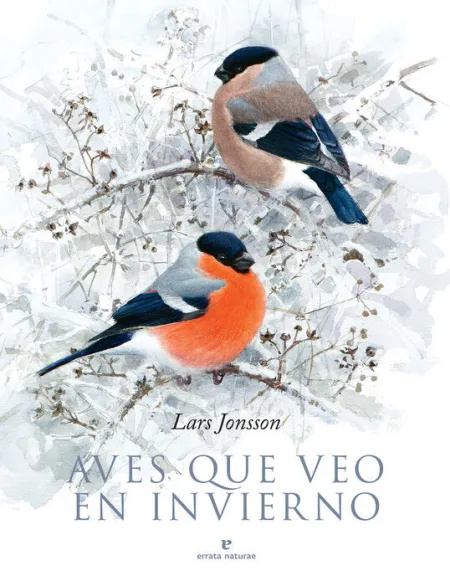 Aves que Veo en Invierno