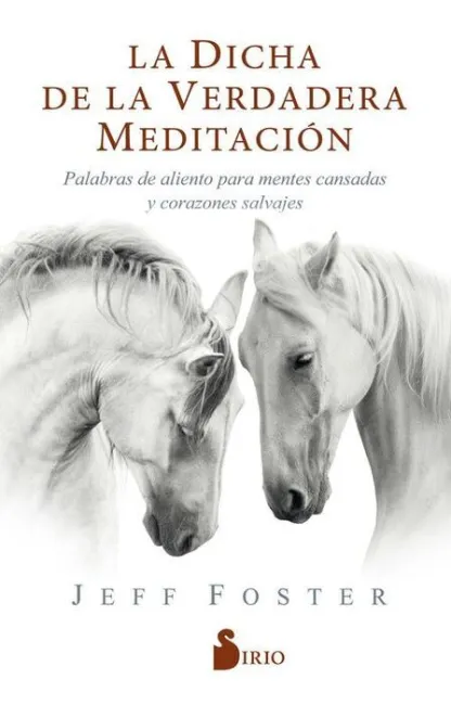 La Dicha de la Verdadera Meditación
