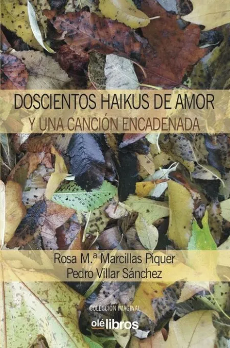 Doscientos Haikus de Amor y una Canción Encadenada