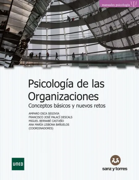 Psicología de las Organizaciones