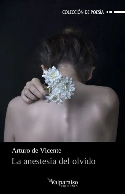 La Anestesia del Olvido