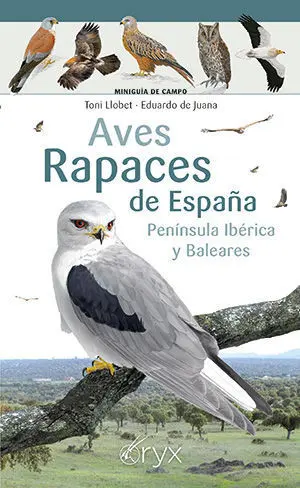 Aves Rapaces de España Peninsula Iberica y Baleares