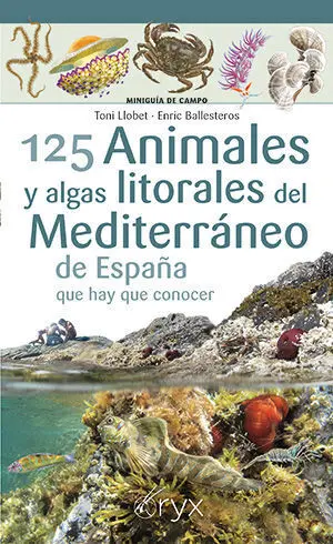 125 Animales y Algas Litorales del Mediterraneo de España que Hay que Conocer