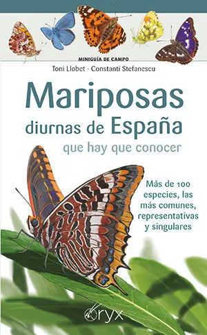 Mariposas Diurnas de España que Hay que Conocer