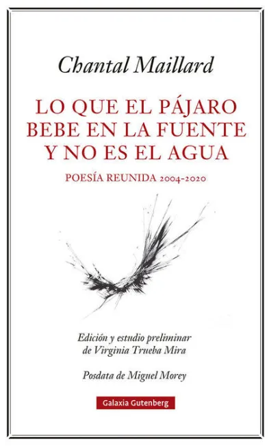 Lo que el Pájaro Bebe en la Fuente y no Es el Agua