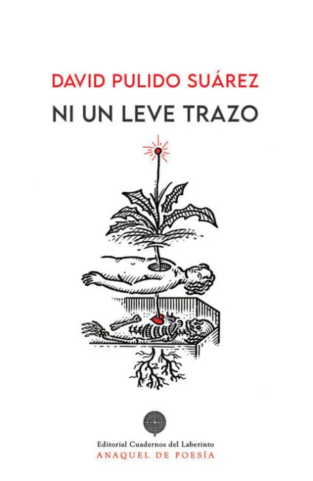 Ni un Leve Trazo