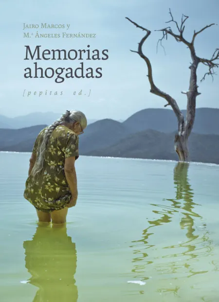 Fotografo Ciego, un. (Americalee)