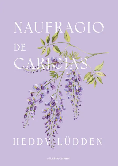 Naufragio de Caricias