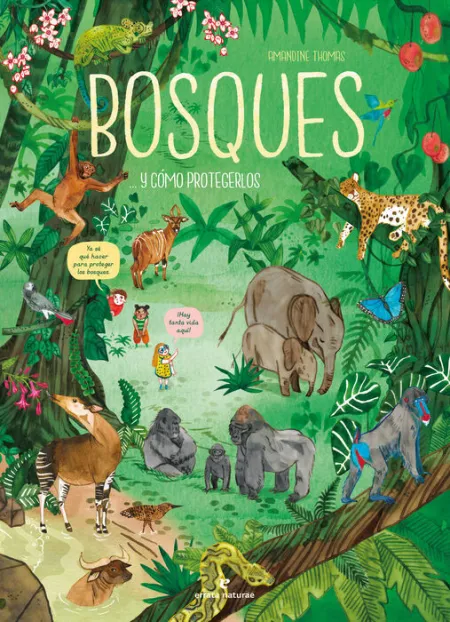 Bosques... Y Cómo Protegerlos