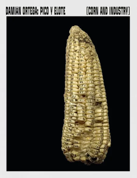 Pico y Elote Corn And Industry