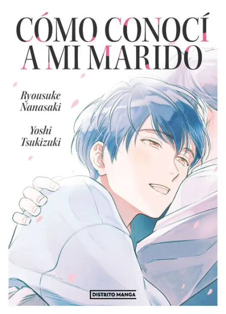 Cómo Conocí a mi Marido