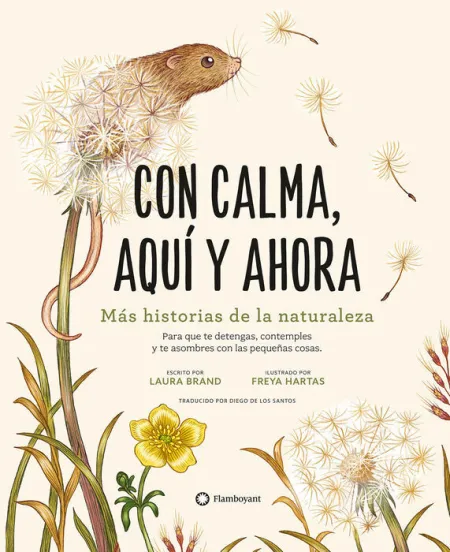 Con Calma, Aqui y Ahora