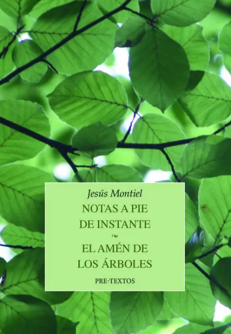 Notas a Pie de Instante el Amen de los Arboles
