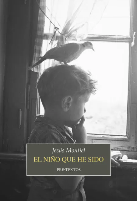 El Niño que He Sido